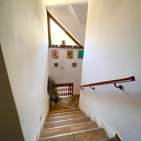 Sarni Stok كرينيتسا زدروي