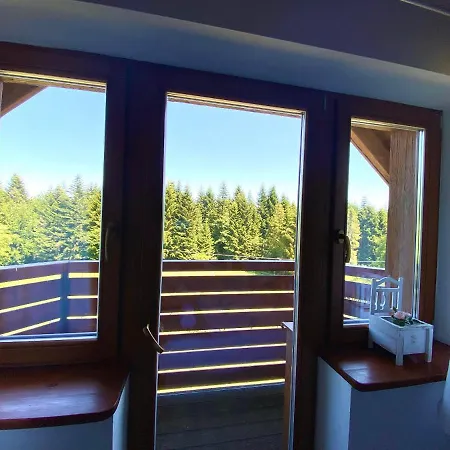 Sarni Stok * Krynica Zdrój