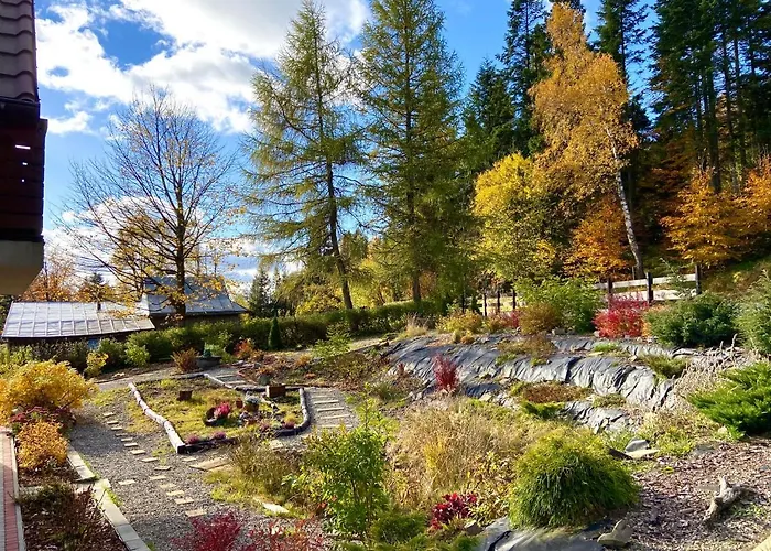 Sarni Stok Krynica-Zdrój